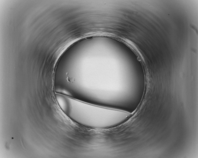 X0000103301244200808291123