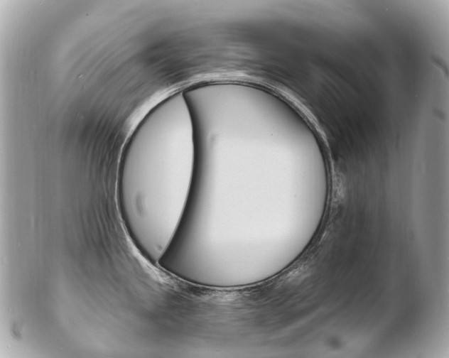 X0000103301245200808291123