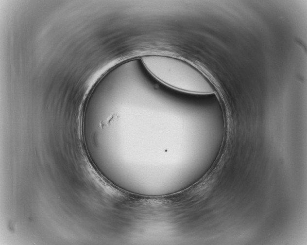X0000103301246200808291123