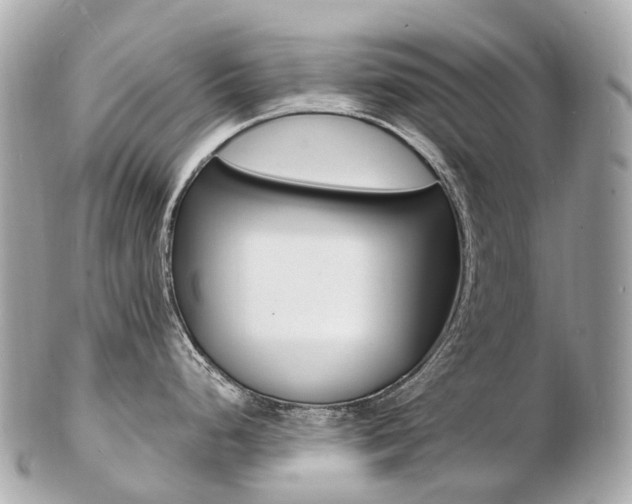 X0000103301248200808291123