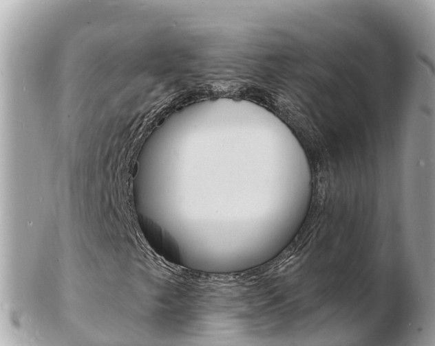X0000103301249200808291122