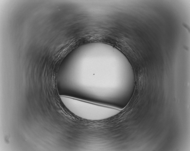X0000103301250200808291122