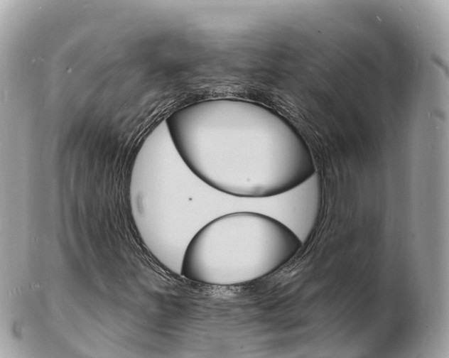 X0000103301251200808291122