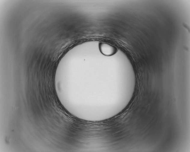 X0000103301252200808291122