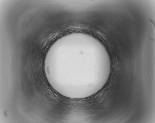 X0000103301253200808291122