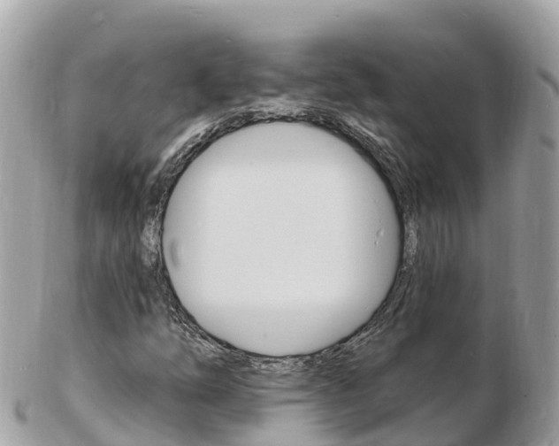 X0000103301254200808291122