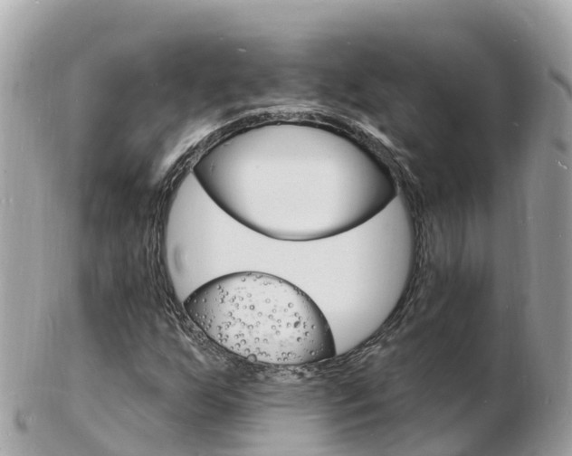 X0000103301255200808291122
