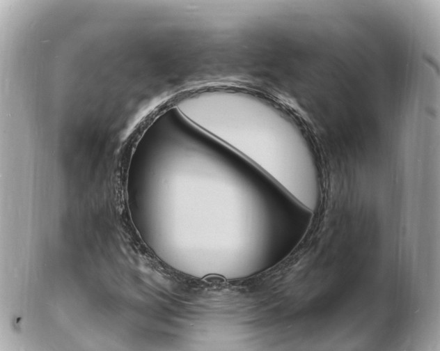 X0000103301256200808291122