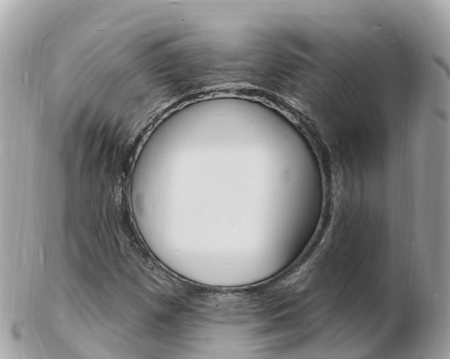 X0000103301257200808291122