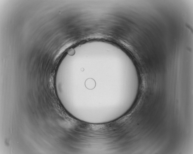 X0000103301258200808291122