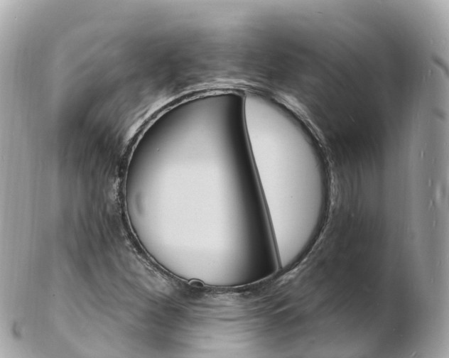 X0000103301260200808291122
