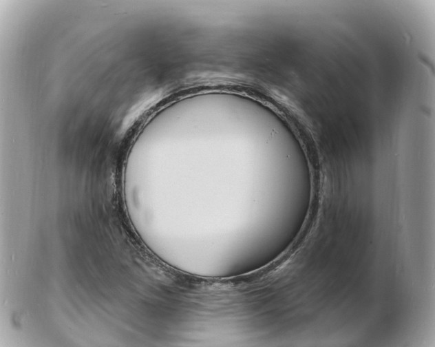 X0000103301261200808291122