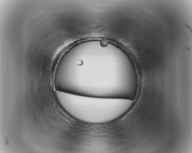 X0000103301262200808291122
