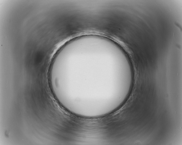 X0000103301264200808291122