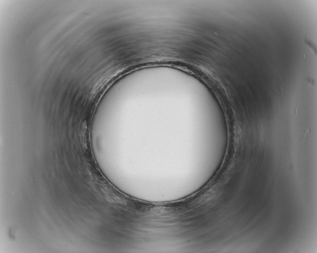 X0000103301265200808291122