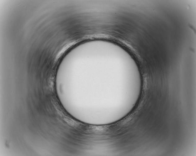X0000103301266200808291122