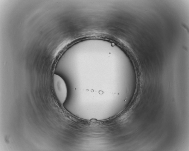X0000103301267200808291122