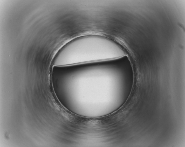 X0000103301268200808291122