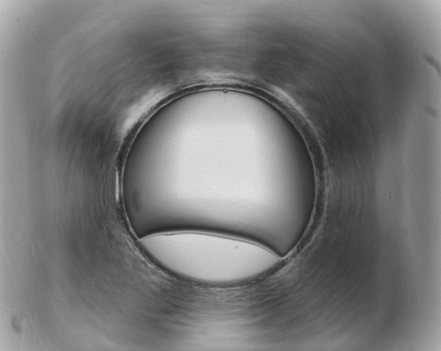 X0000103301269200808291122