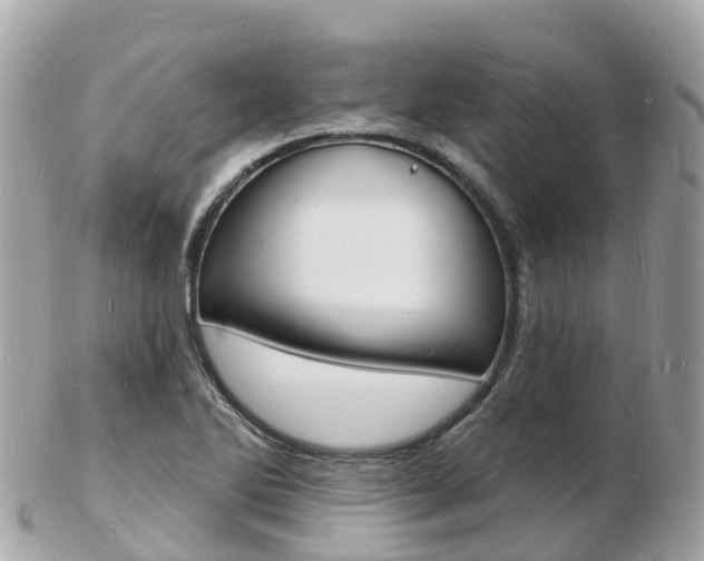 X0000103301270200808291122