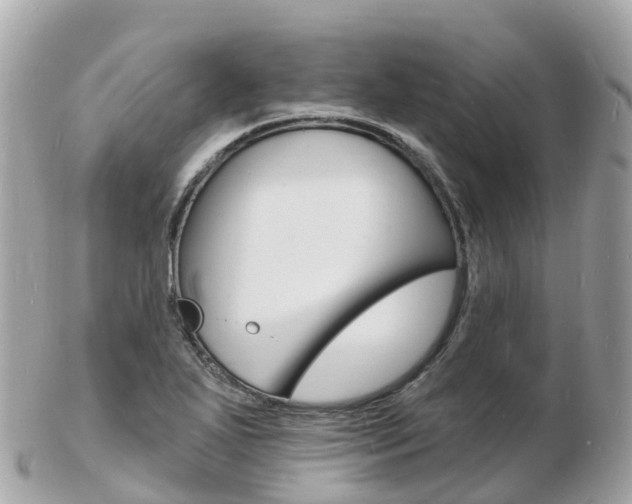 X0000103301271200808291122