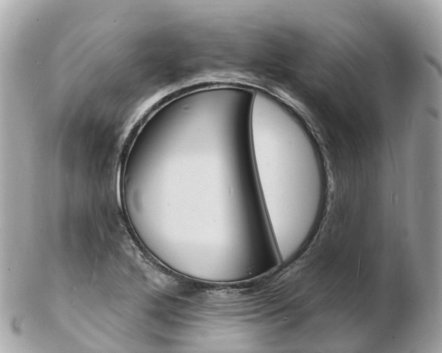 X0000103301272200808291122