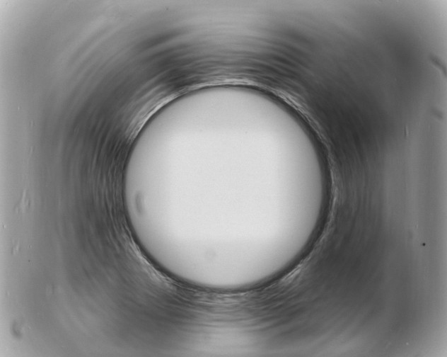 X0000103301273200808291122