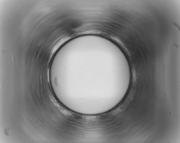 X0000103301274200808291122