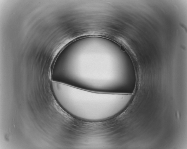 X0000103301276200808291122
