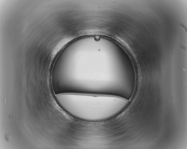 X0000103301277200808291122