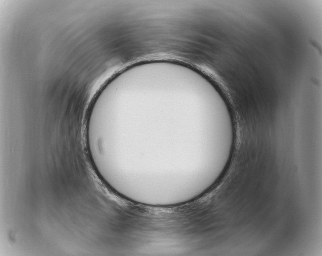 X0000103301278200808291122