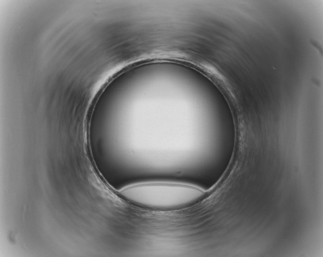 X0000103301280200808291122