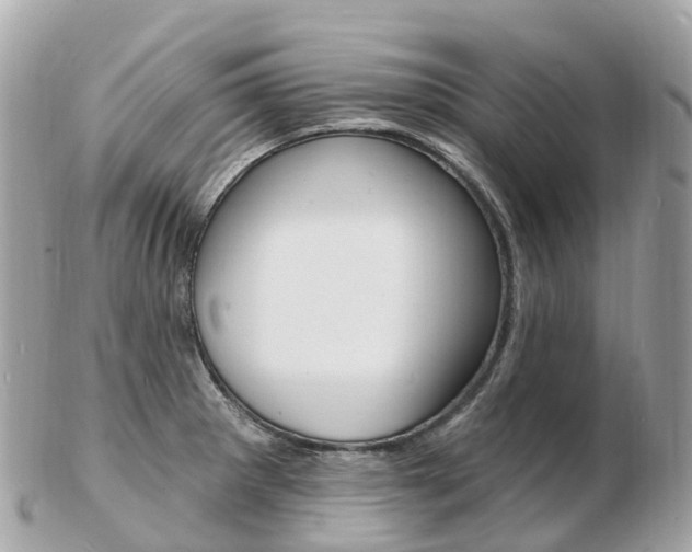 X0000103301281200808291122