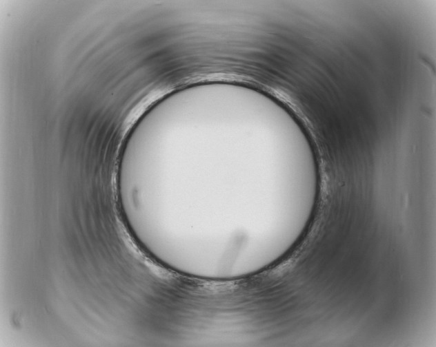 X0000103301282200808291122