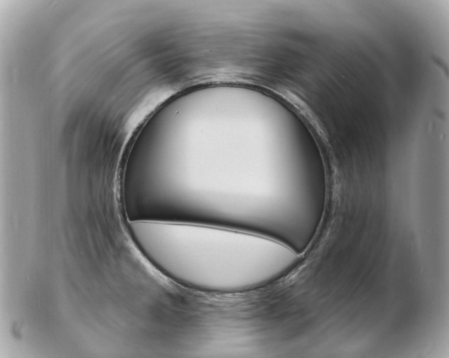 X0000103301285200808291122