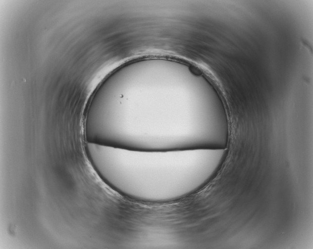 X0000103301287200808291122