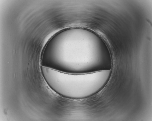 X0000103301288200808291122
