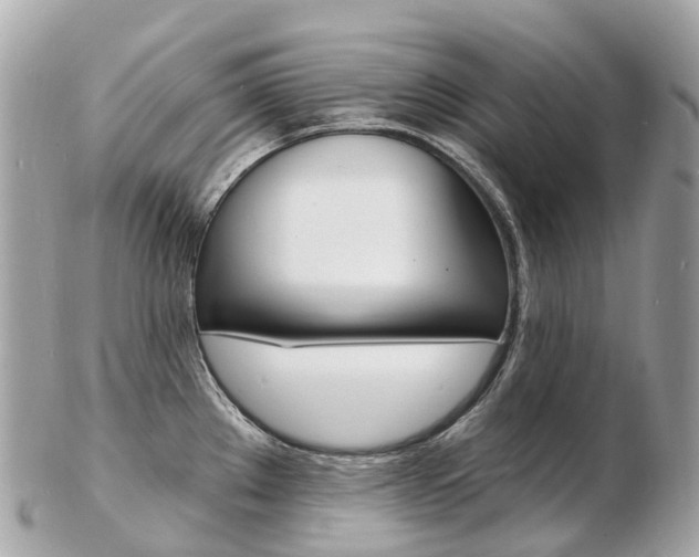 X0000103301289200808291122