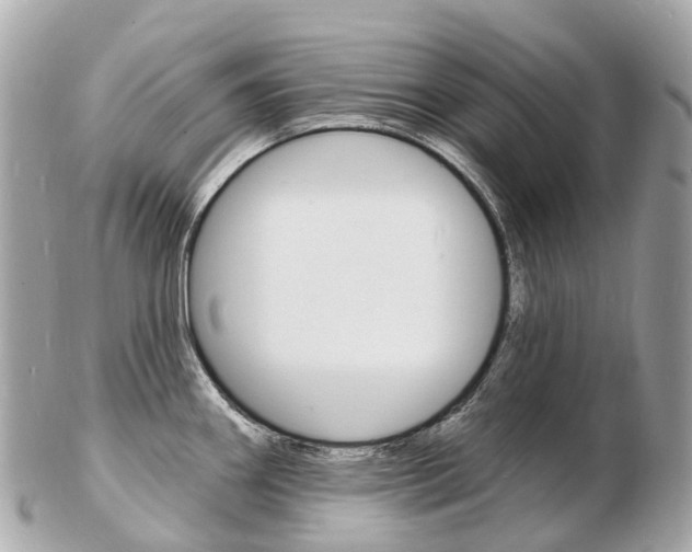 X0000103301290200808291122