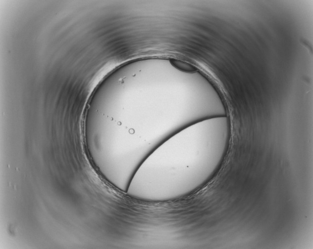 X0000103301291200808291122