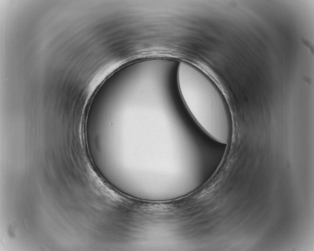 X0000103301293200808291122