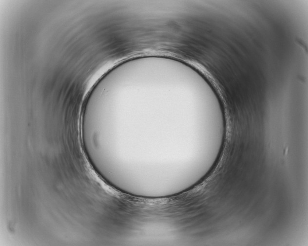 X0000103301294200808291122