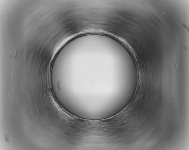 X0000103301295200808291122