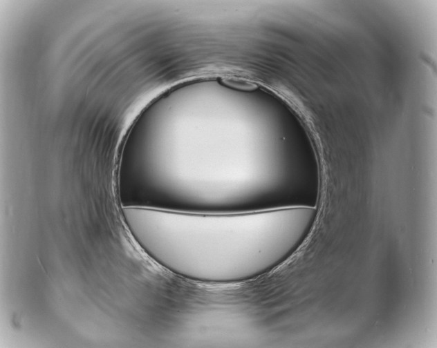 X0000103301296200808291122