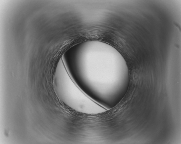 X0000103301297200808291121