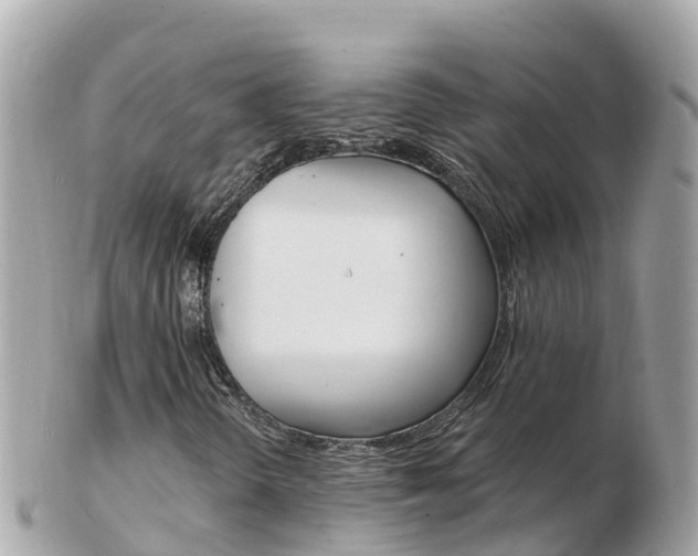 X0000103301298200808291121