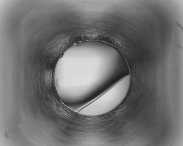 X0000103301299200808291121