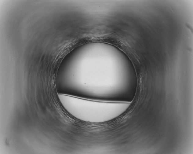 X0000103301300200808291121