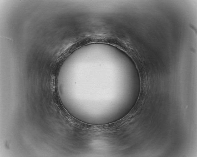 X0000103301301200808291121
