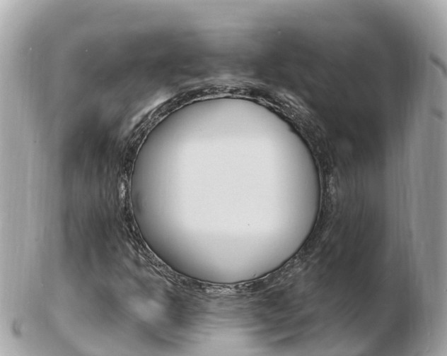 X0000103301302200808291121